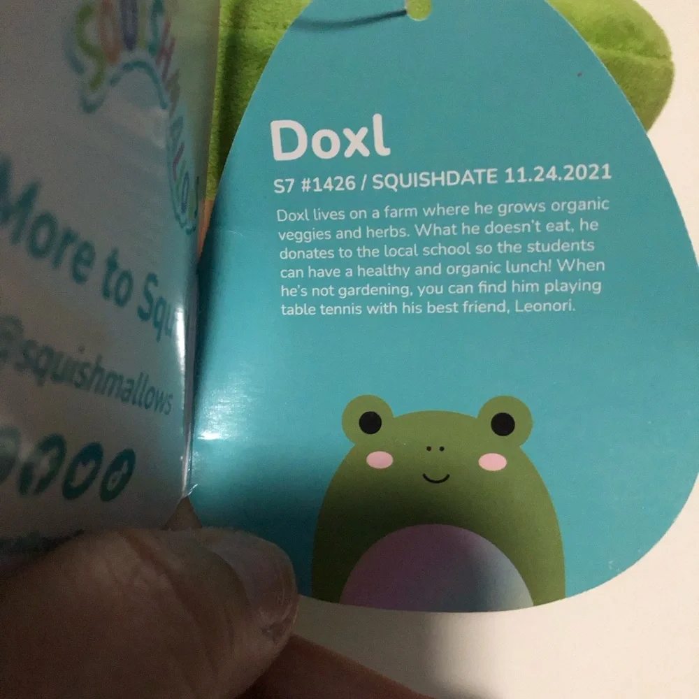 Doxl rainbow green frog squishmallows NWT‎ 8” plush kellytoy holiday gift
